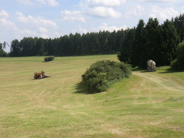 CIMG8033.jpg