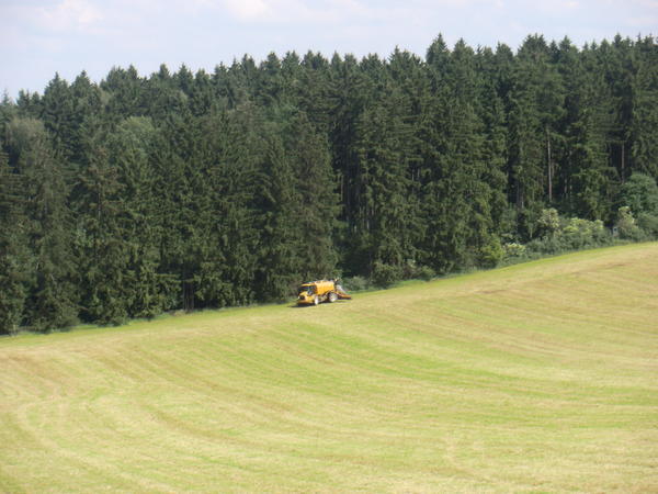 CIMG8034.jpg