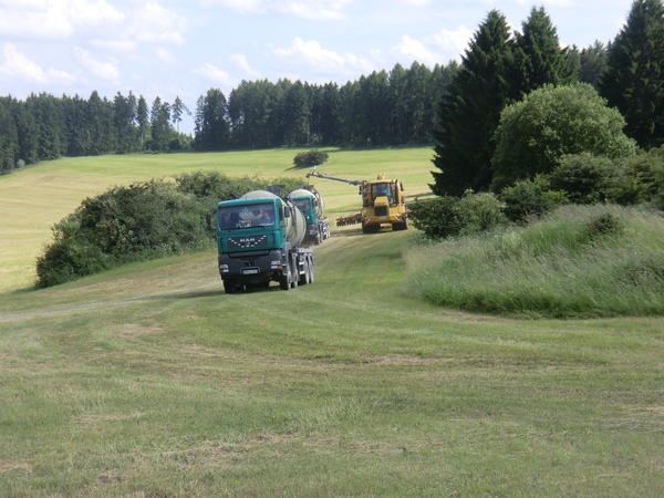 bilder/2024_07_04/DSC07749.jpg