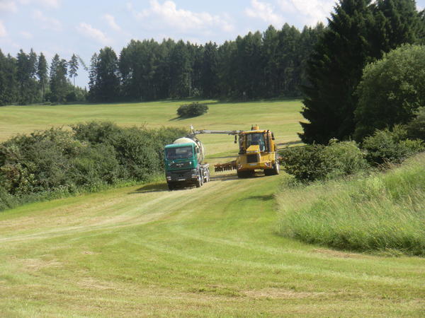 bilder/2024_07_29/DSC08646.jpg