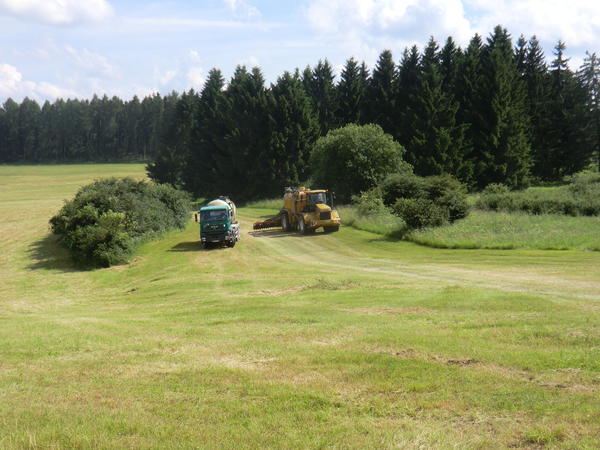 bilder/21_3_2003/fendt_824_6.jpg