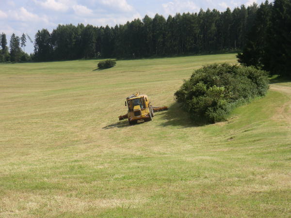 bilder/2_7_2013/CIMG8046.jpg