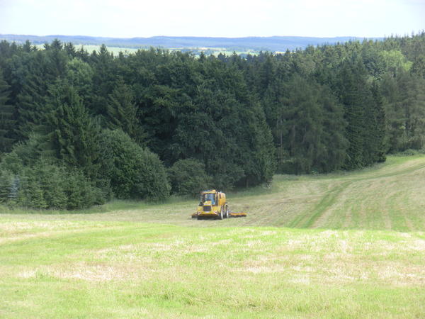 CIMG8058.jpg