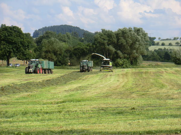 CIMG8066.jpg