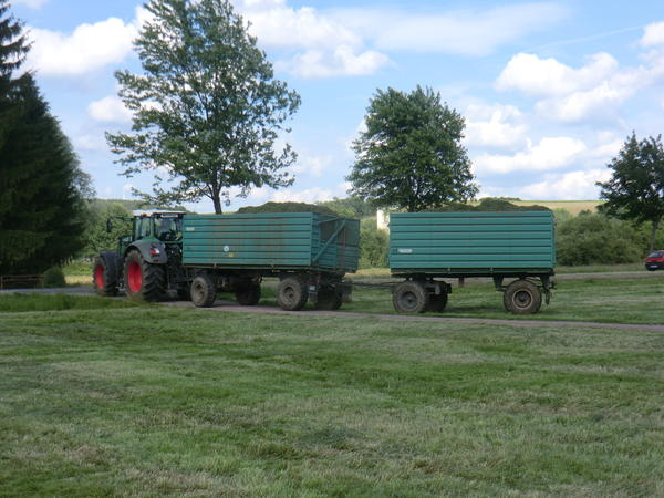 CIMG8068.jpg