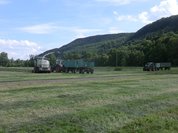 CIMG8072.jpg