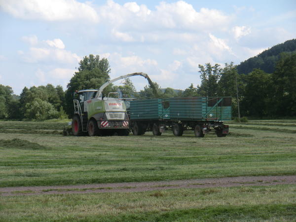 CIMG8073.jpg