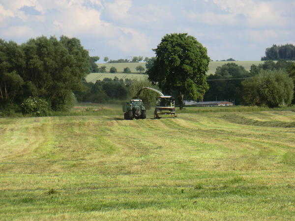 CIMG8074.jpg