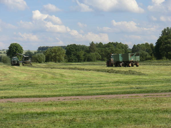 CIMG8075.jpg