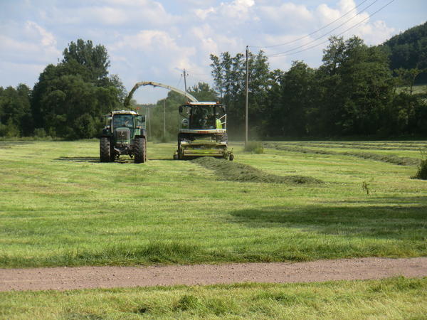 CIMG8085.jpg
