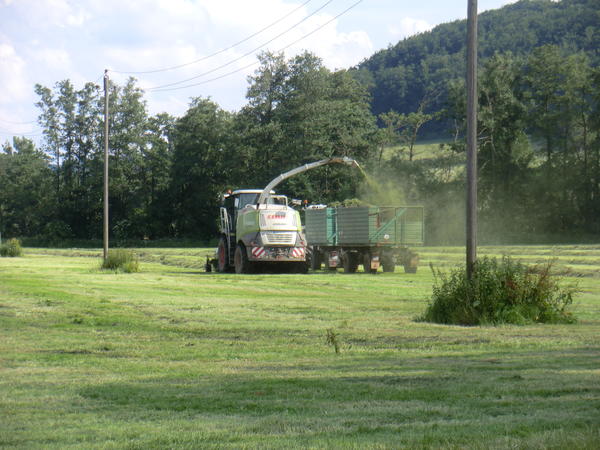 CIMG8087.jpg