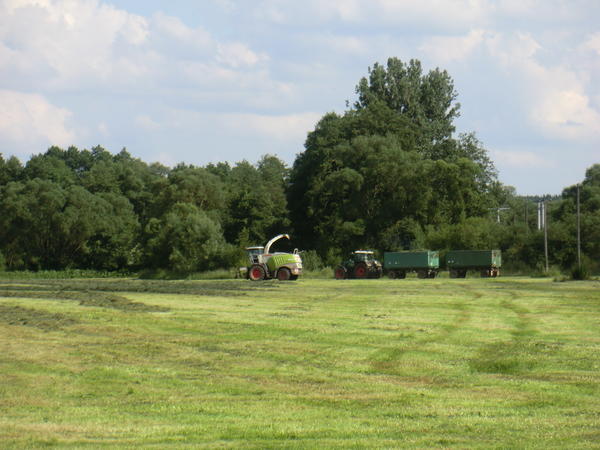 bilder/2_7_2013_2/CIMG8088.jpg