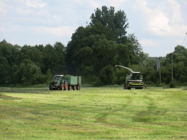 CIMG8089.jpg