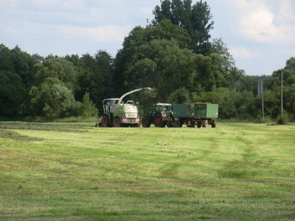 CIMG8090.jpg