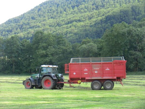 CIMG8091.jpg