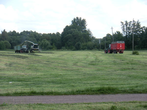 CIMG8093.jpg