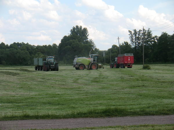 CIMG8094.jpg