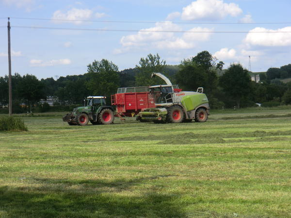bilder/2_7_2013_2/CIMG8099.jpg