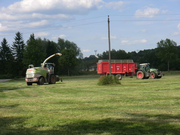 CIMG8100.jpg