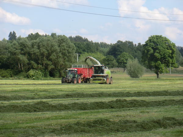 bilder/4_8_2022/DSC03255.jpg