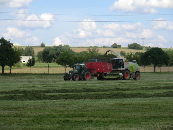 CIMG8104.jpg