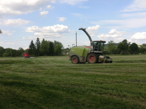 CIMG8107.jpg