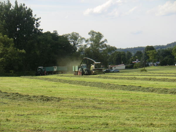 CIMG8112.jpg