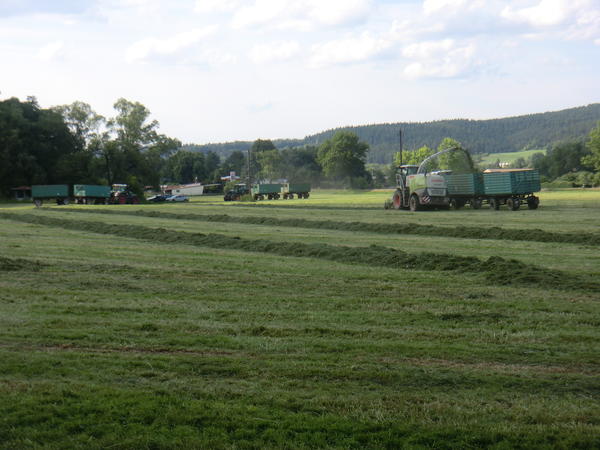 CIMG8117.jpg