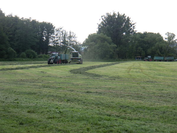 CIMG8118.jpg