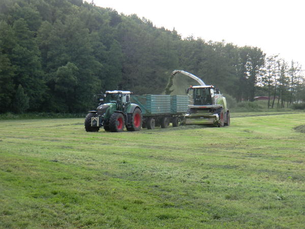 CIMG8119.jpg