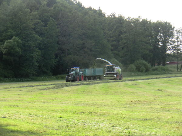 CIMG8124.jpg