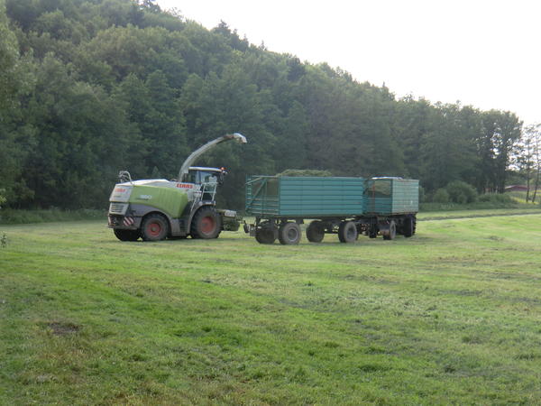 CIMG8126.jpg