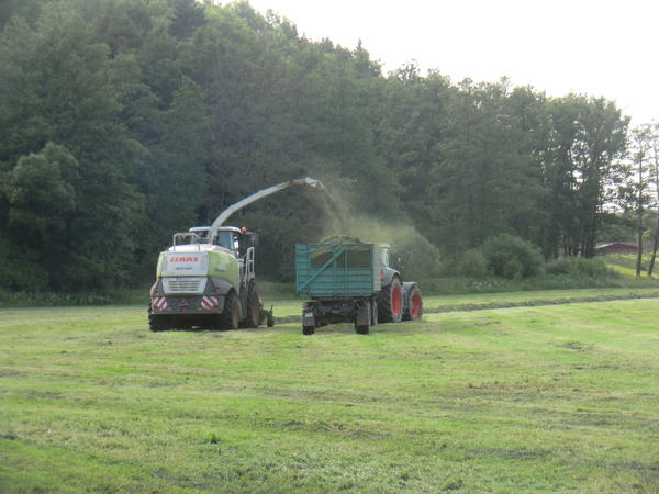 CIMG8127.jpg