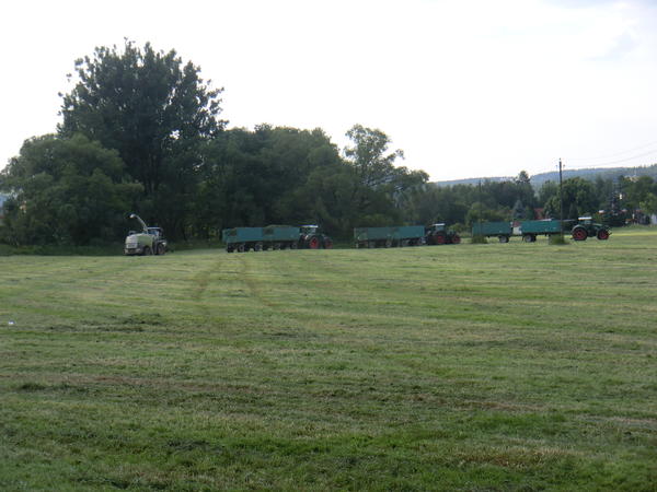 CIMG8128.jpg