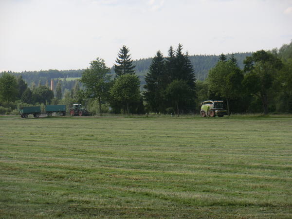 CIMG8129.jpg
