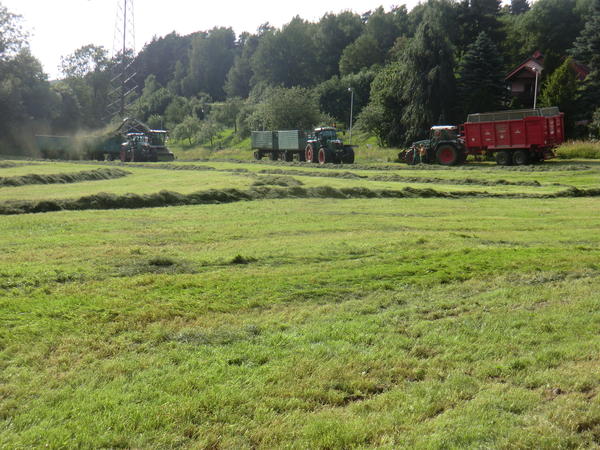 CIMG8131.jpg