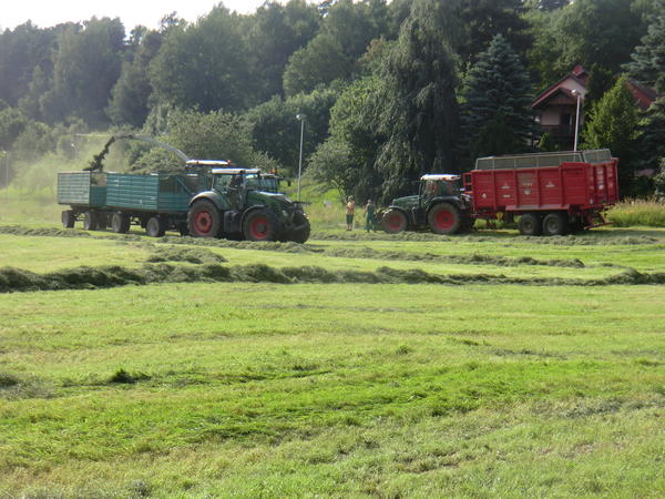 CIMG8132.jpg