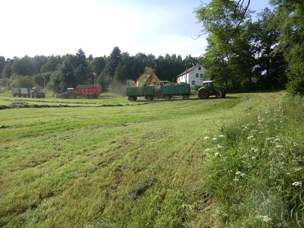 bilder/2_7_2013_2/CIMG8133.jpg