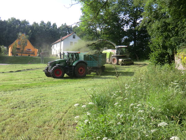 CIMG8134.jpg
