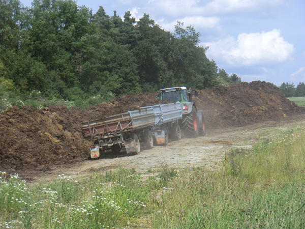 CIMG8025.jpg