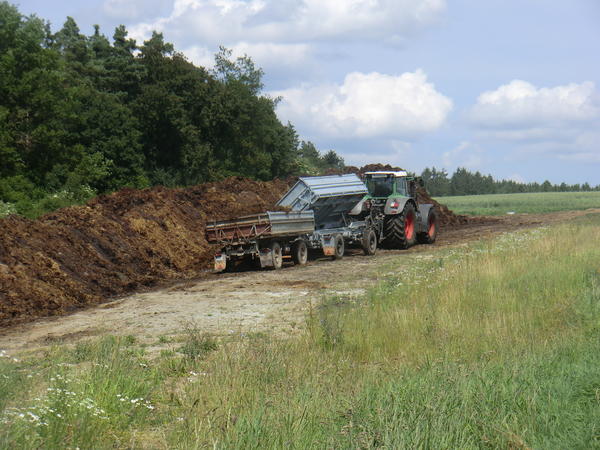 CIMG8026.jpg