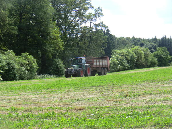 CIMG7979.jpg