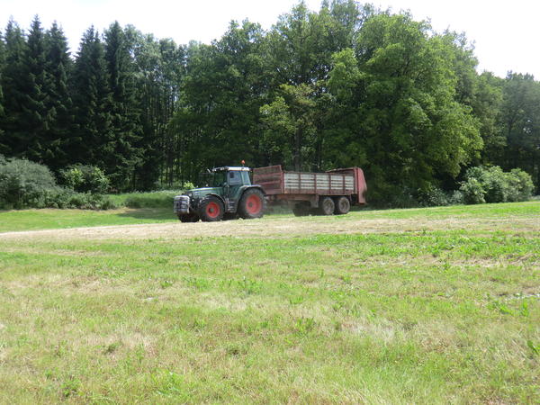 CIMG7980.jpg