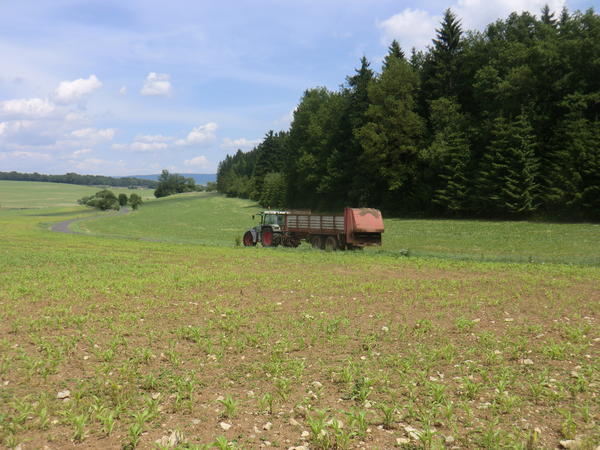 CIMG7982.jpg