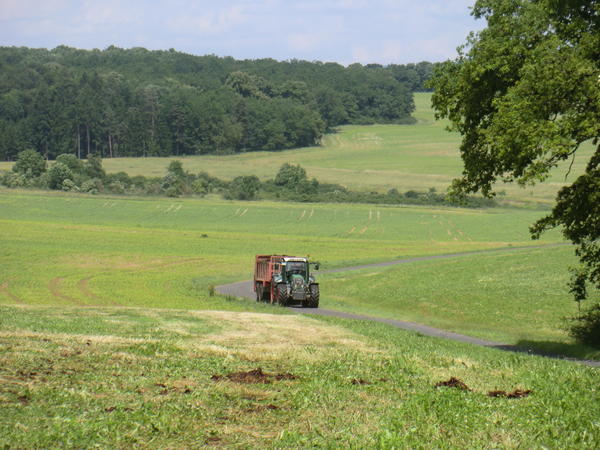 CIMG7983.jpg