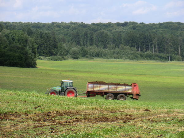 CIMG7985.jpg
