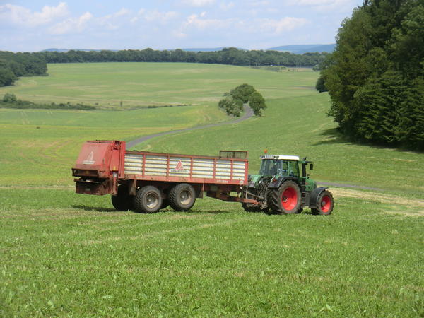 CIMG8001.jpg