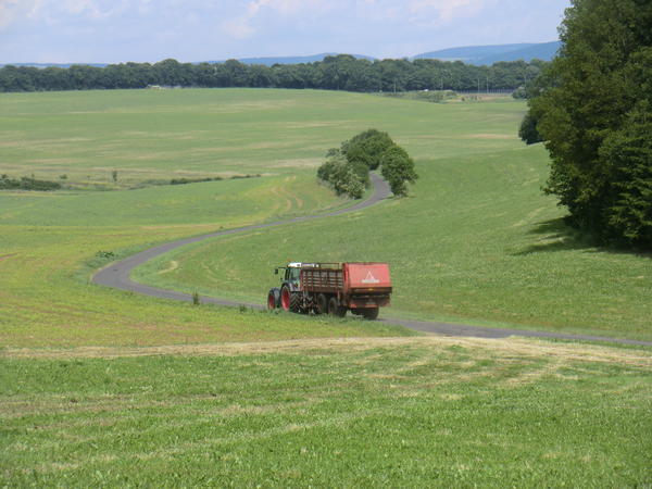 CIMG8003.jpg
