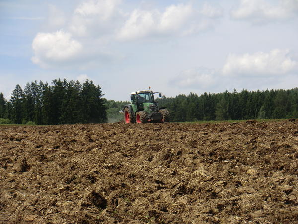 CIMG8004.jpg