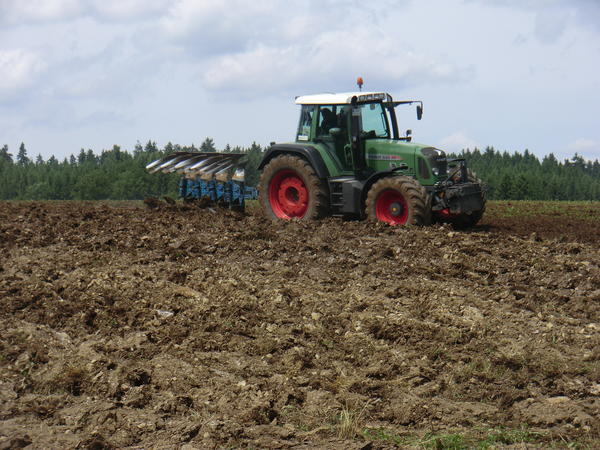 bilder/2_7_2013_4/CIMG8005.jpg